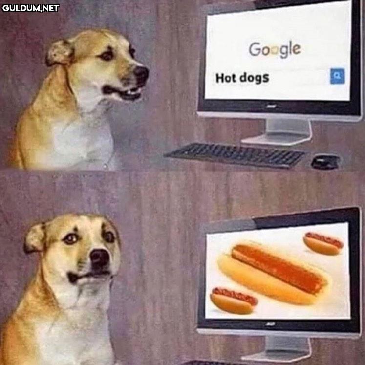 Google Hot dogs   Kaynak