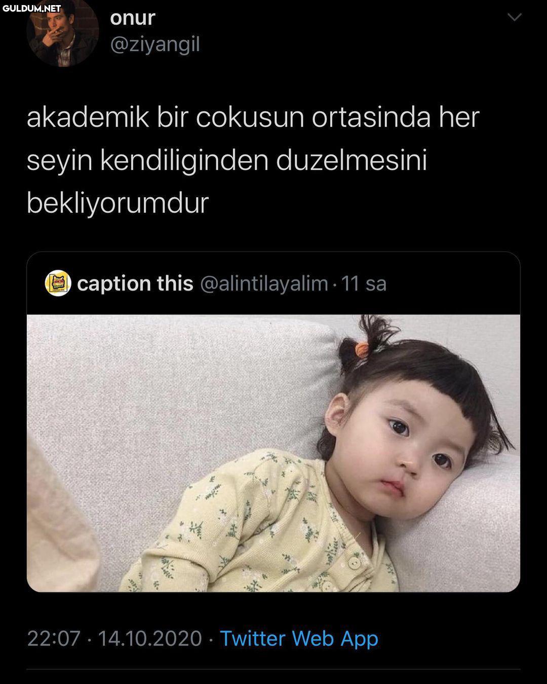 onur @ziyangil akademik...