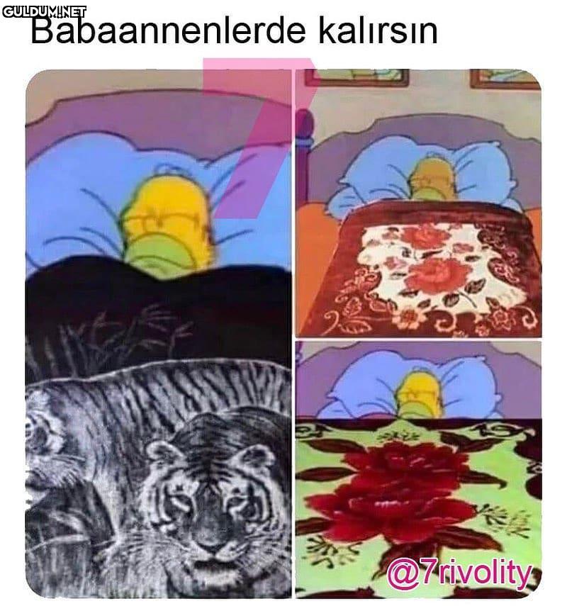 Dünyanın en rahat,sıcak...