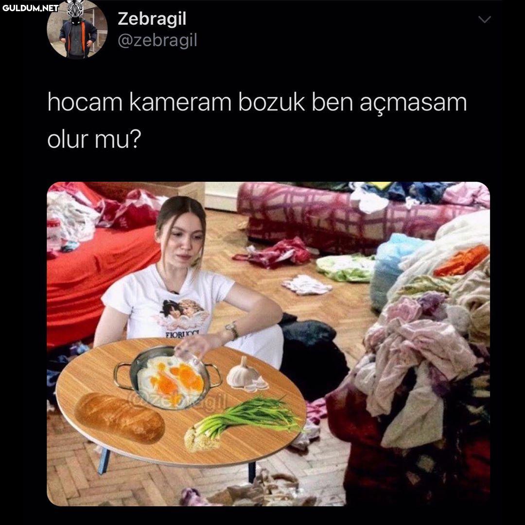 Zebragil @zebragil hocam...