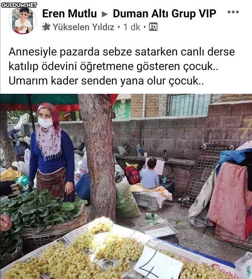 Eren Mutlu Duman Altı Grup...