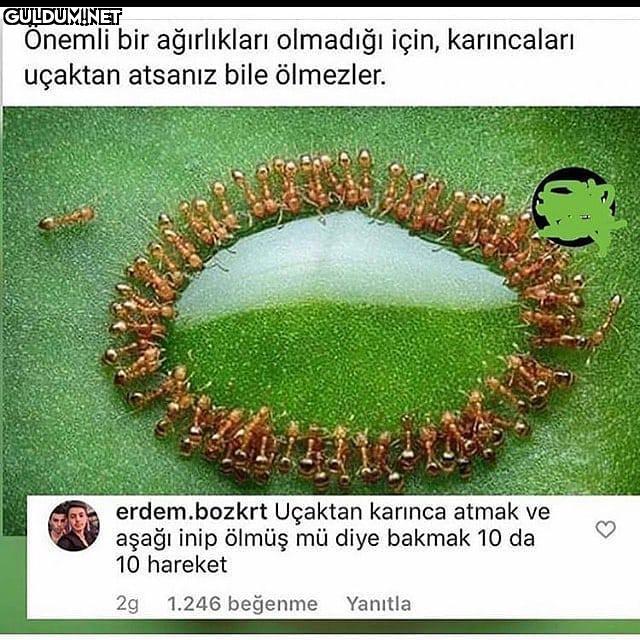 Akzmxşxlxşxldş Önemli bir...