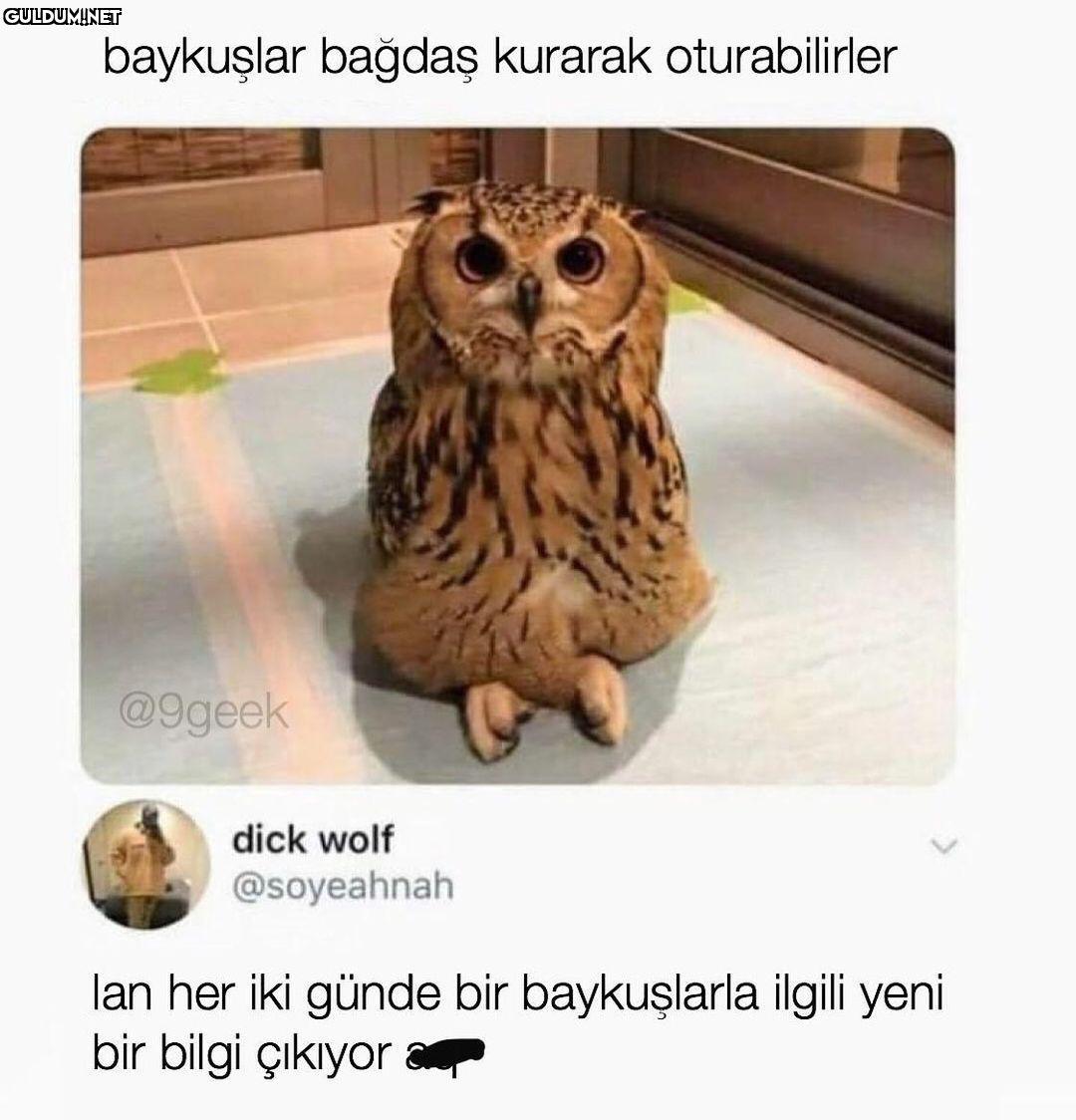 şu gizemi bi çözemedim...