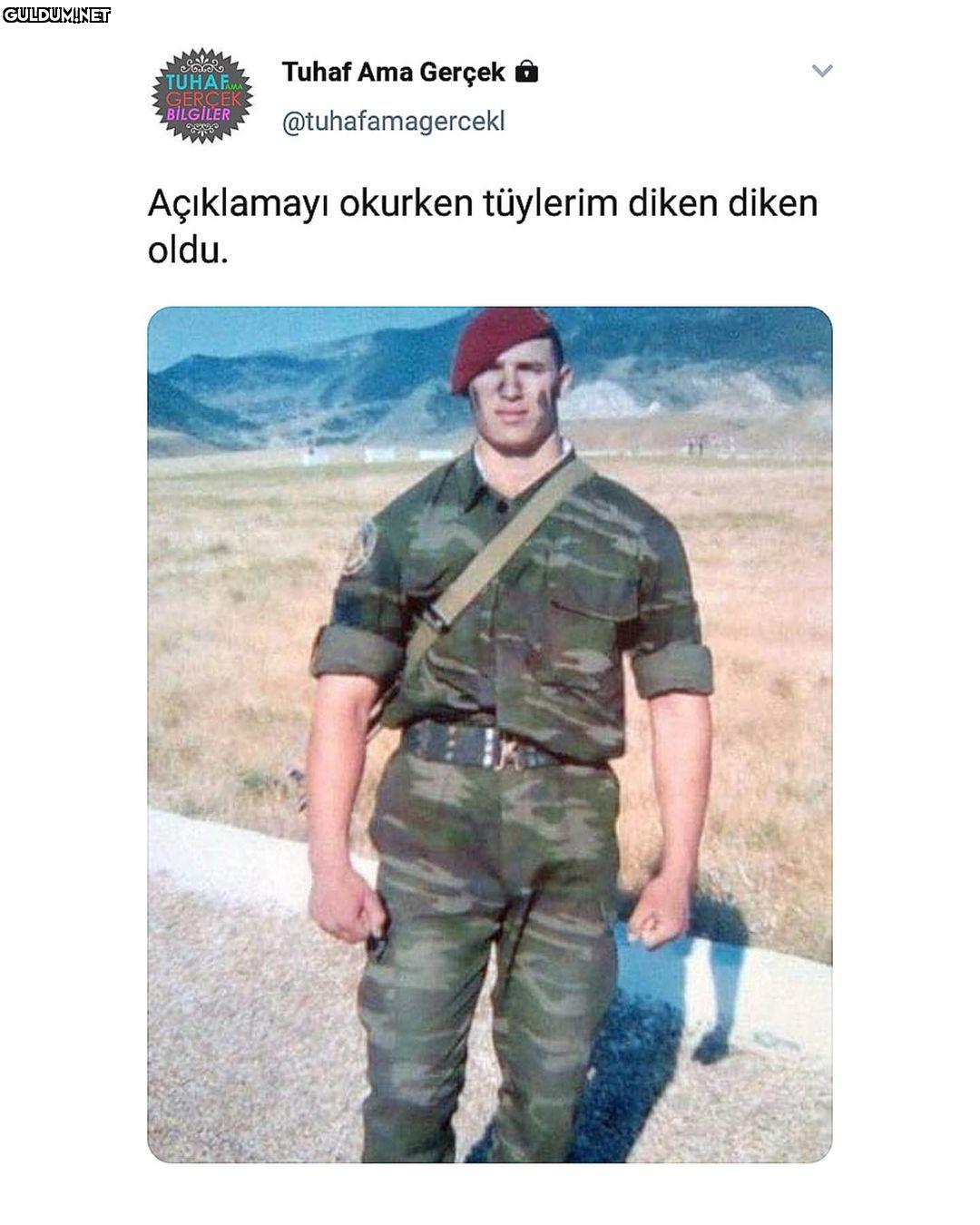 19 Haziran 2010 tarihinde...