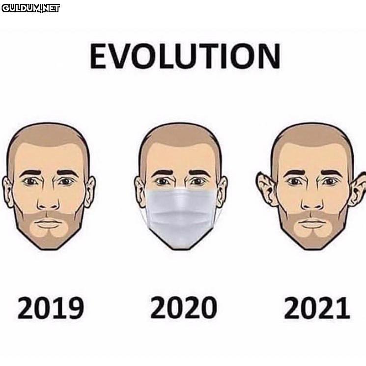 Kulak estetiği EVOLUTION...