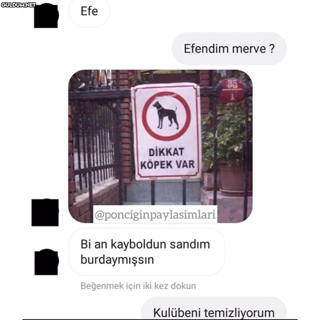 Kral bu nasıl kapaktır...