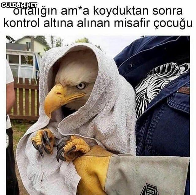 Aynısı amkndldkfşfkdş...