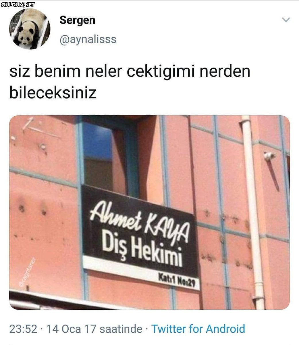 RT @mevzukurtlere1:  ...