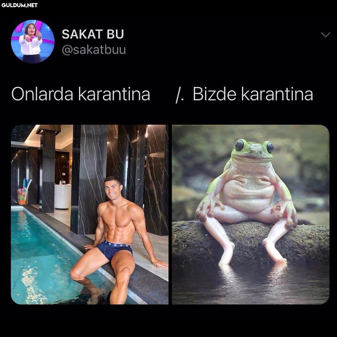 SAKAT BU @sakatbuu Onlarda...