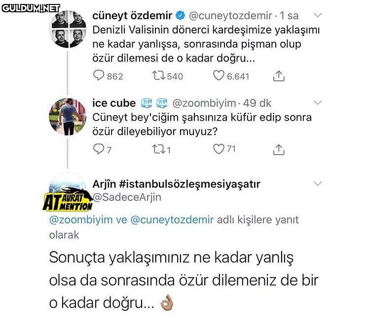 aynn oyle cüneyt özdemir O...