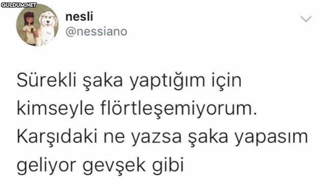 cünkü herseyi sakaya...