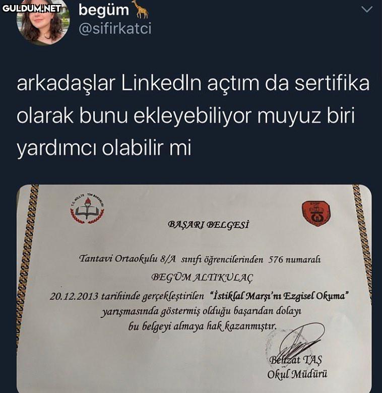 begüm @sifirkatci...