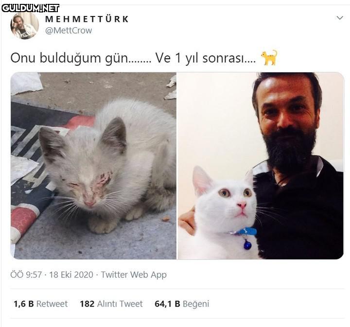 MEHMETTÜRK @MettCrow Onu...