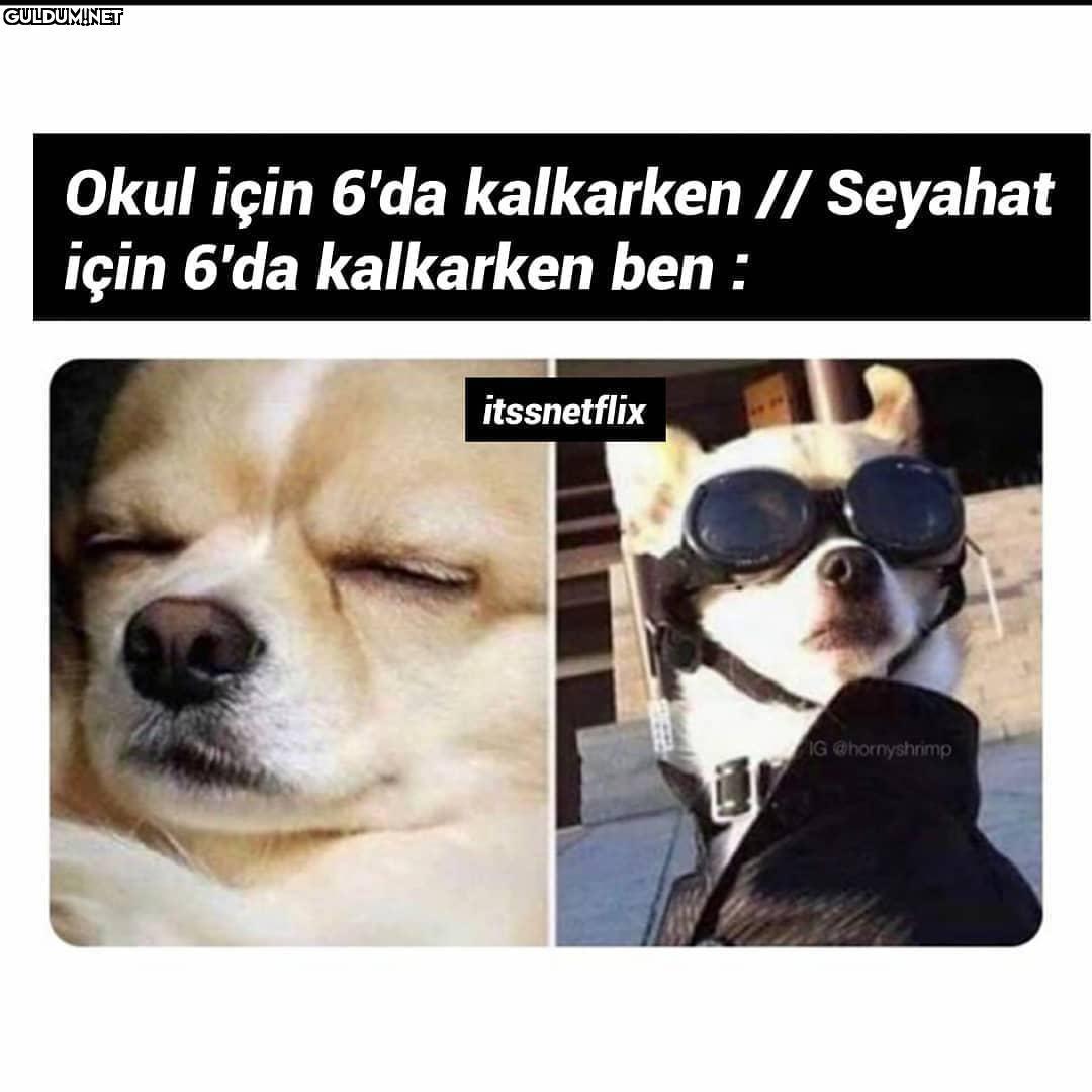 Aynen böyle Okul için 6'da...