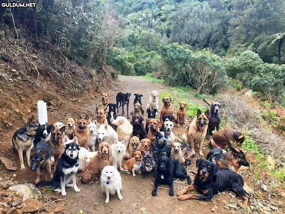 Çok kez konuştuk,...