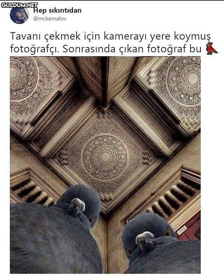 Tiplere Bak 😂 Hep...