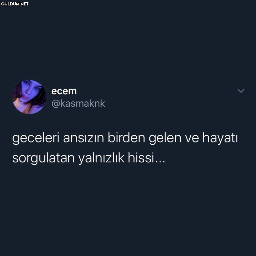 2.6 milyon takipçin vardır...