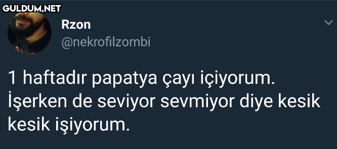 Rzon @nekrofilzombi 1...