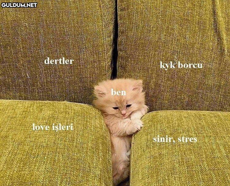 dertler kyk borcu ben love...