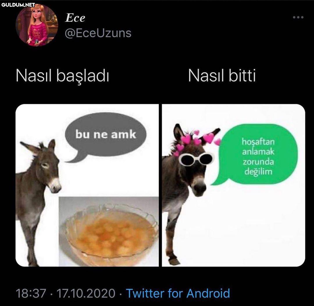 ALDJSLDJDL Ece @EceUzuns...