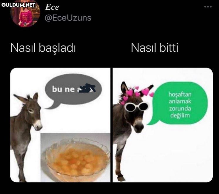 2020 düşünürleri olur gibi...