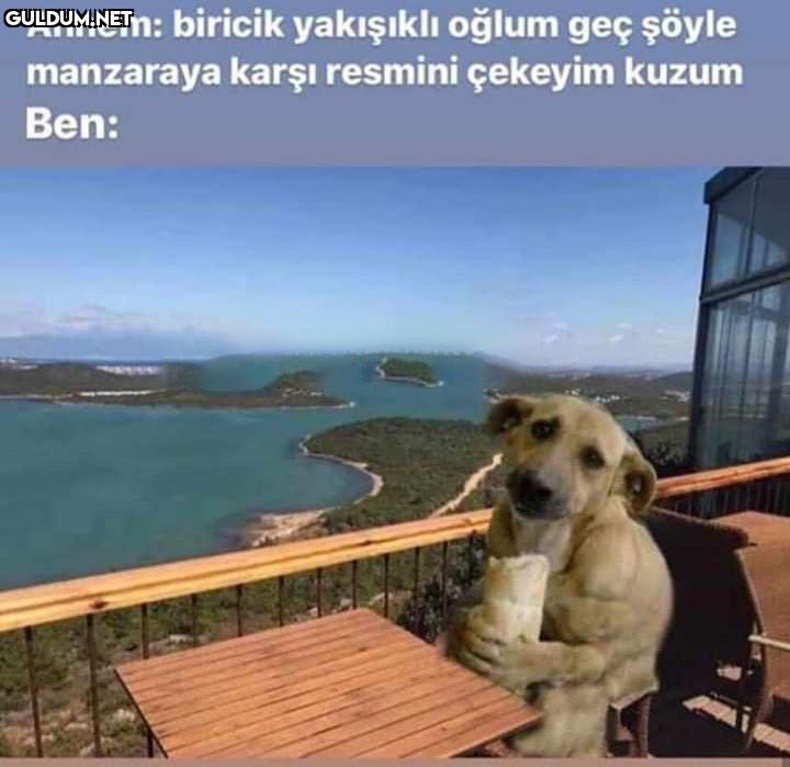 Garibanın yüzü gülmez...
