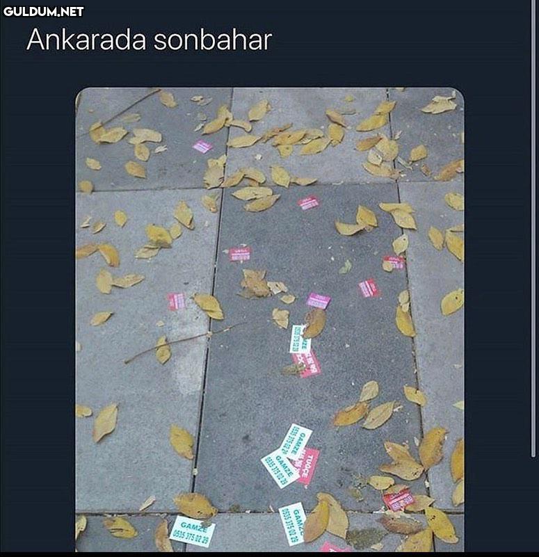 Smsndnzjssjsjjsks Ankarada...