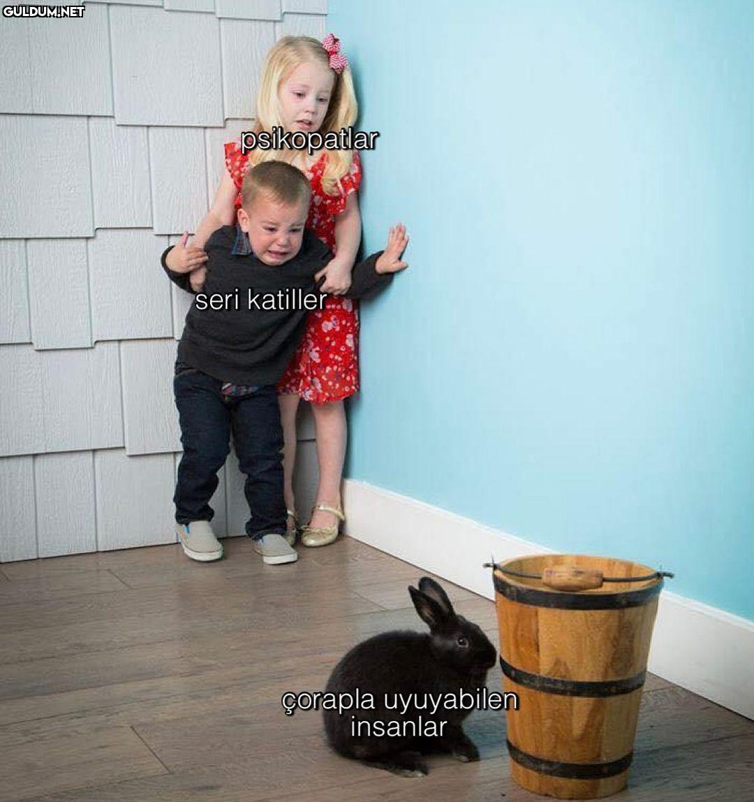çok tehlikeli bir tür...