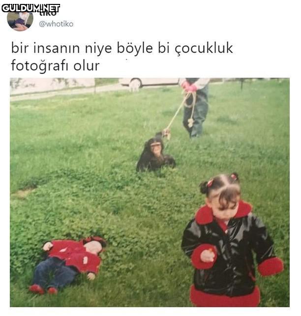 tiko @whotiko bir insanın...