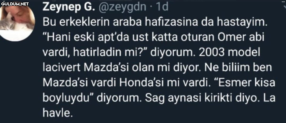 Zeynep G. @zeygdn · 1d Bu...