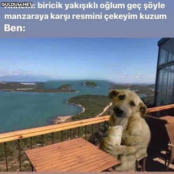 Annem: biricik yakışıklı...