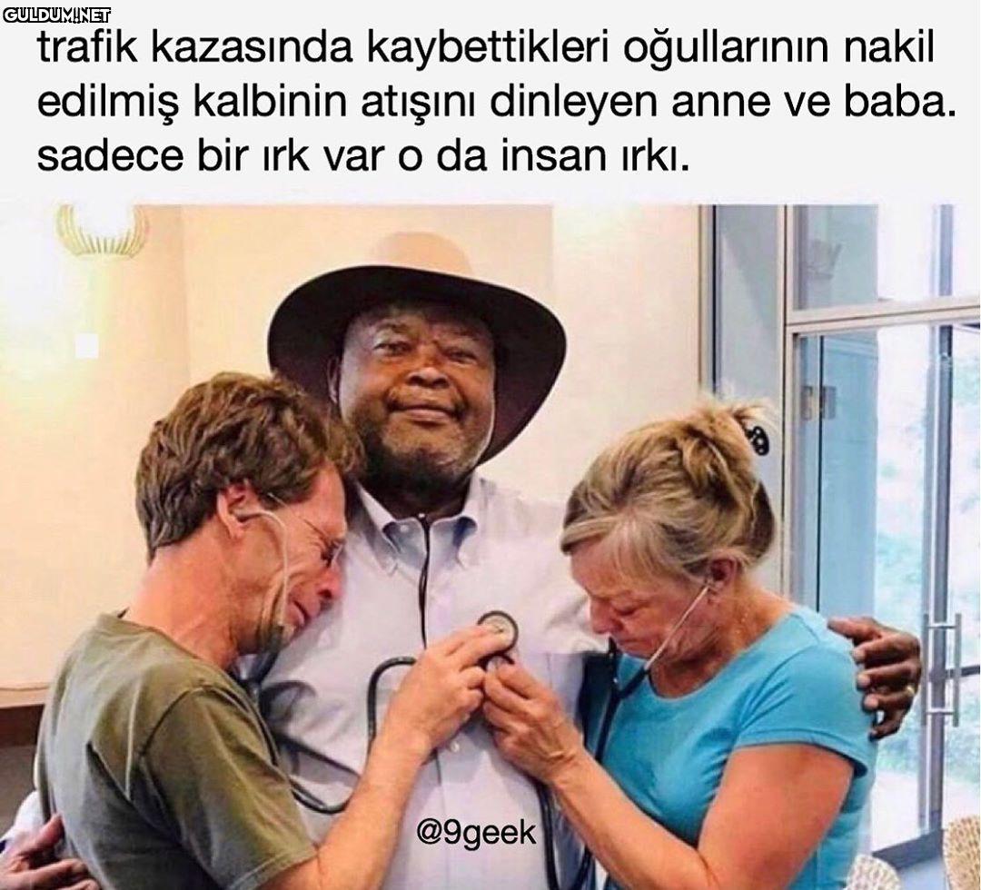 çarpıcı bir görsel trafik...