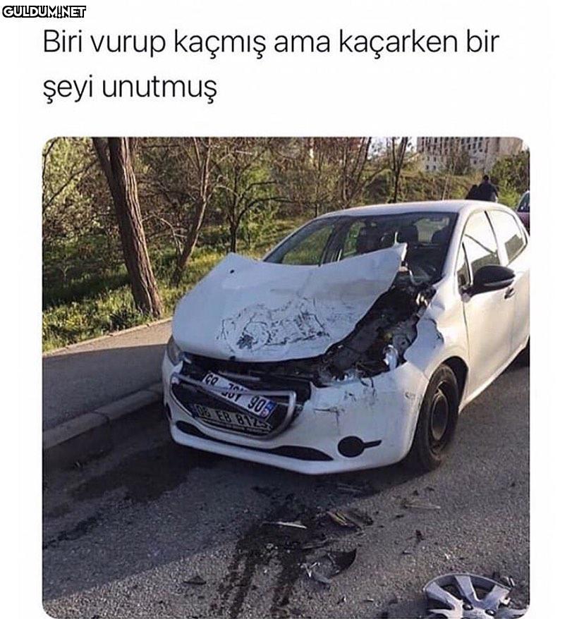 Sndndnsjshsjshsnsnsbsb...