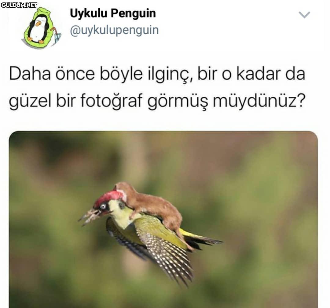 Aşırı İyi Foto 😂 Uykulu...