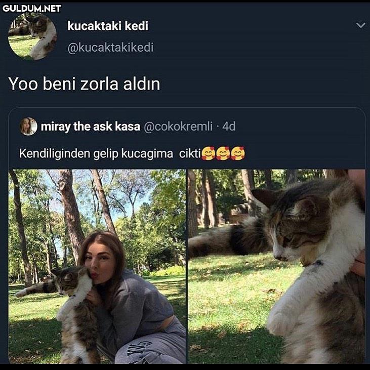 Açıklama geldi sonunda...