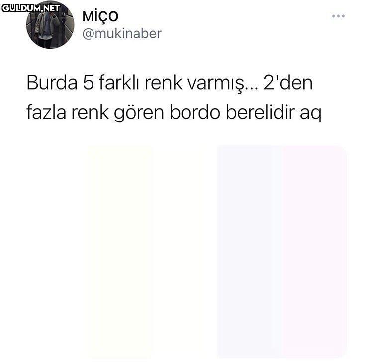 MİÇO @mukinaber Burda 5...