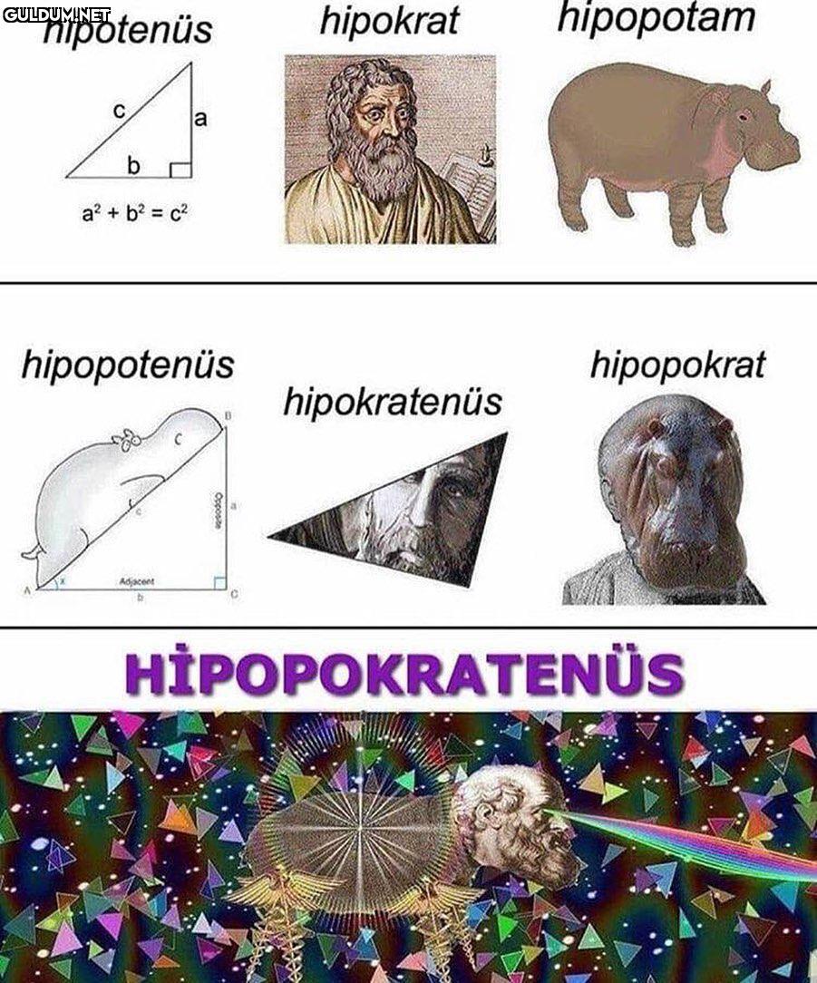 hipotenüs hipokrat...