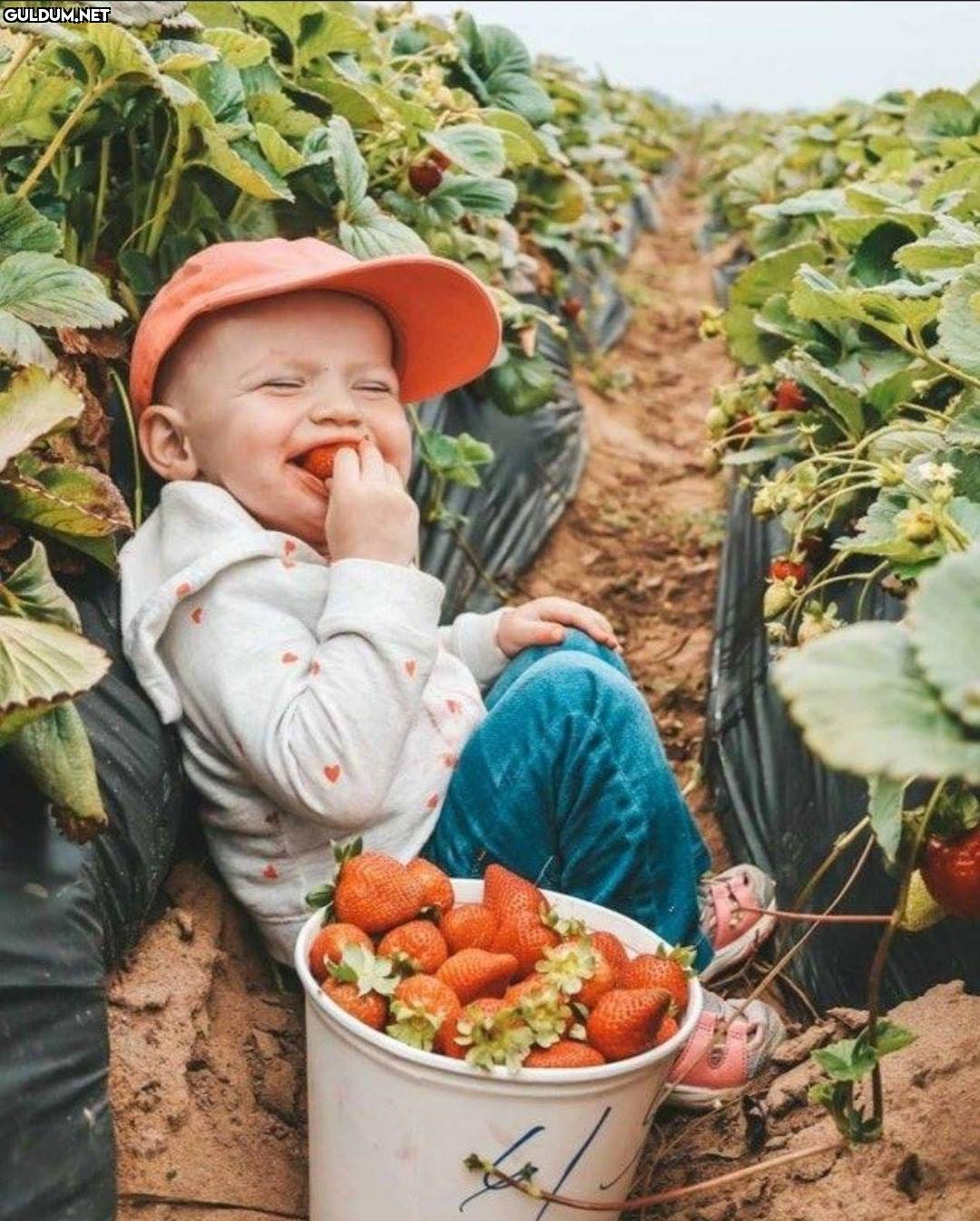 Günaydın 😊  Kaynak