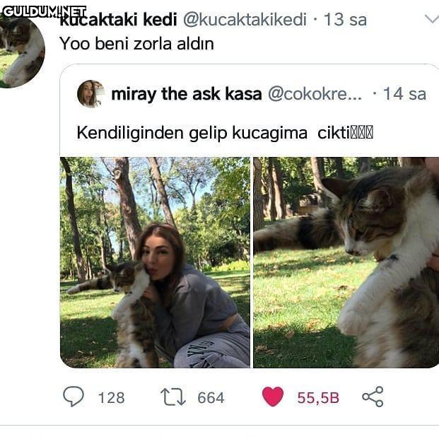 İşsizlik desen var...