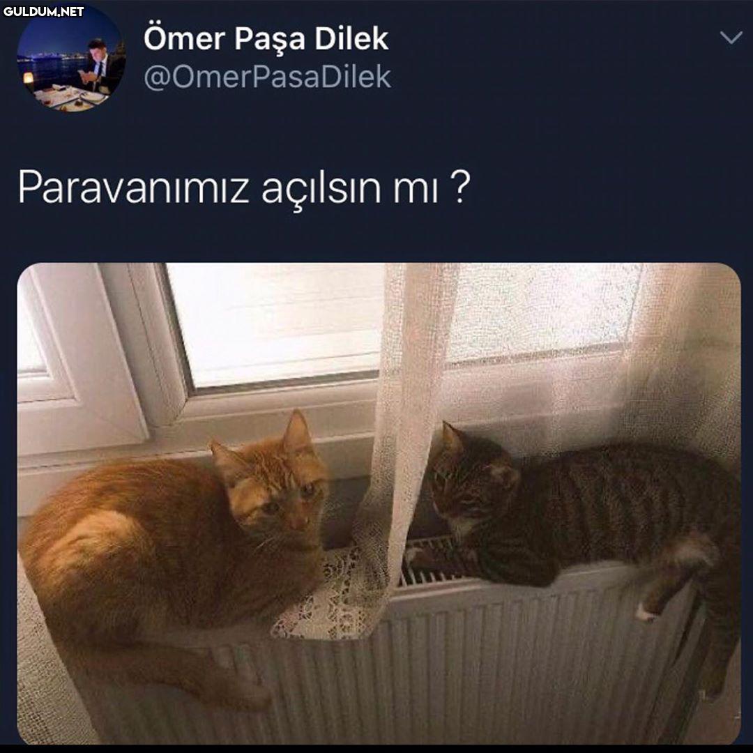 Ömer Paşa Dilek...