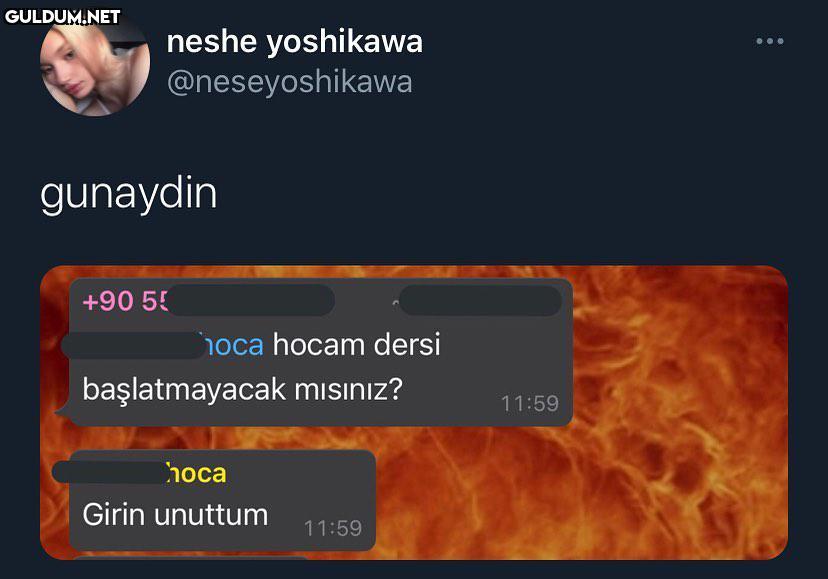 neshe yoshikawa...