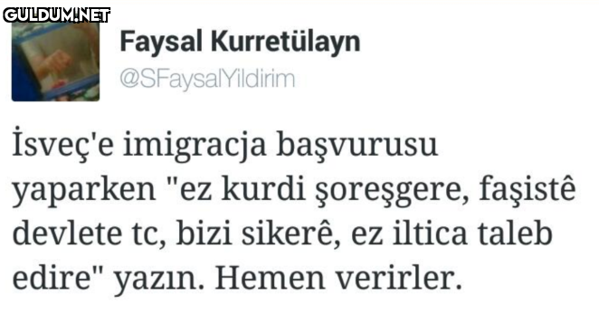 Faysal Kurretülayn...