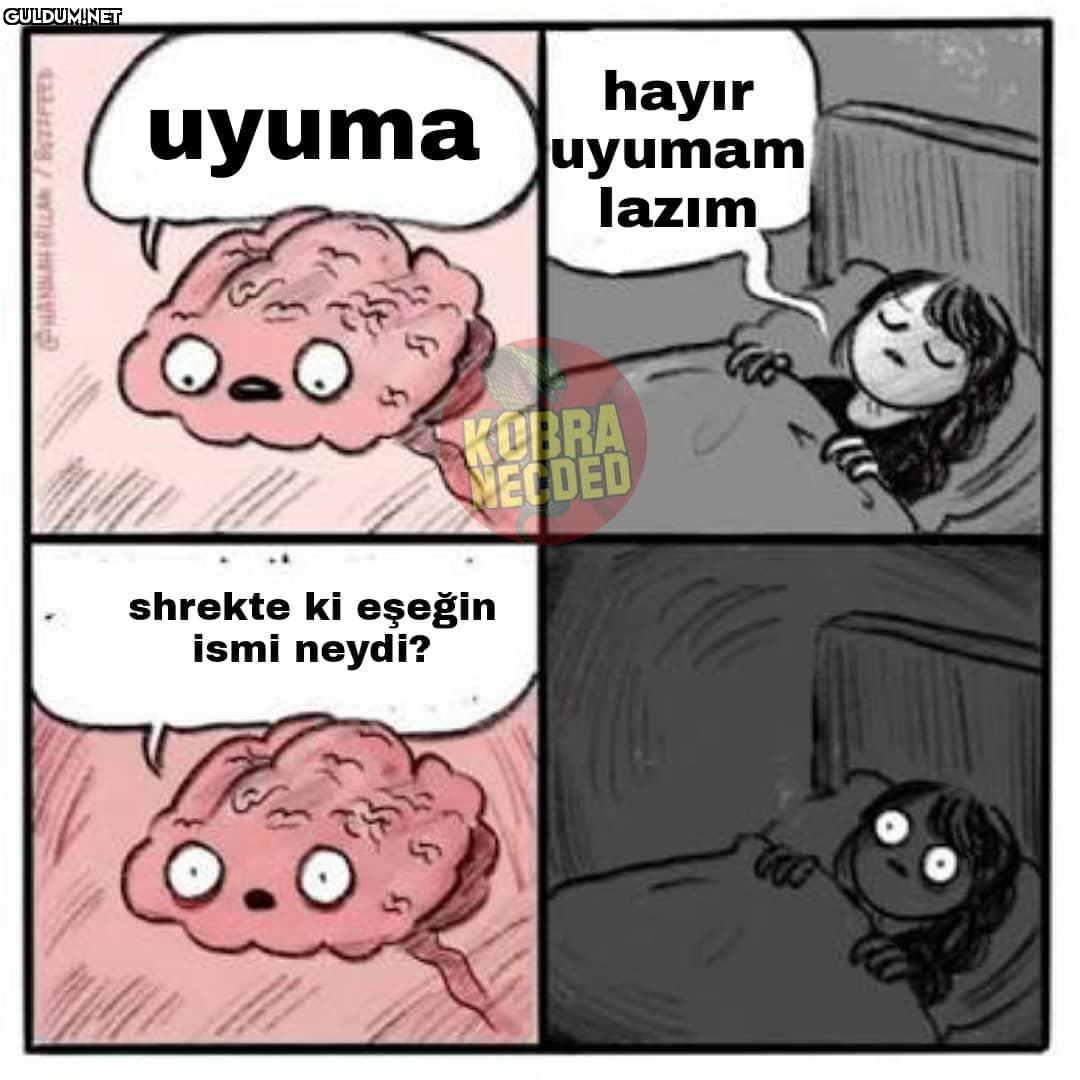 Harbiden neydi la 🤔...