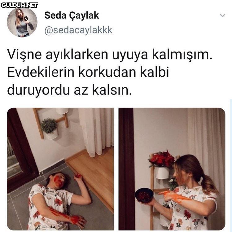 garip bir kurgu Seda...