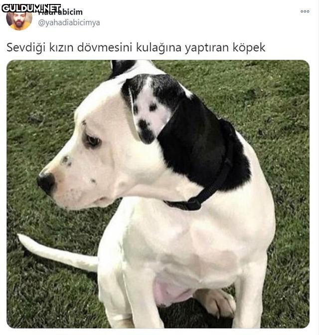 Hadi abicim 000...