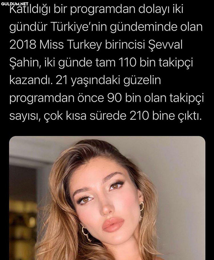 Bu ülkede cahillik bile...
