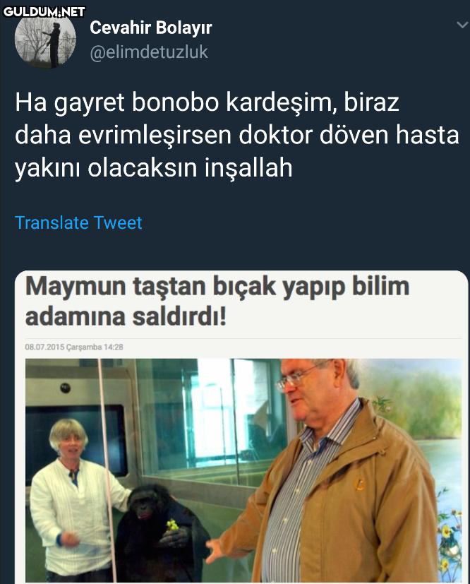 Cevahir Bolayır...