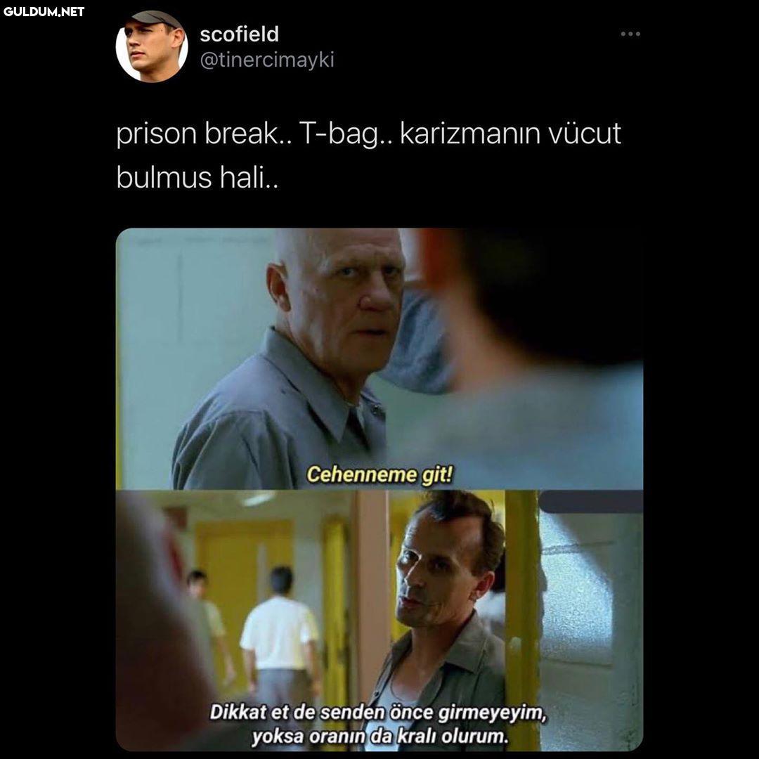 scofield @tinercimayki...