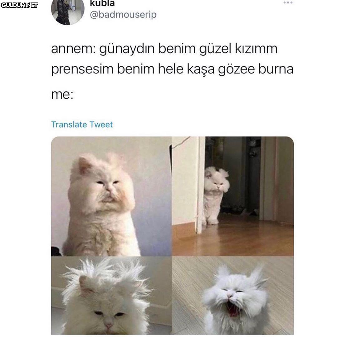 kubla @badmouserip annem:...