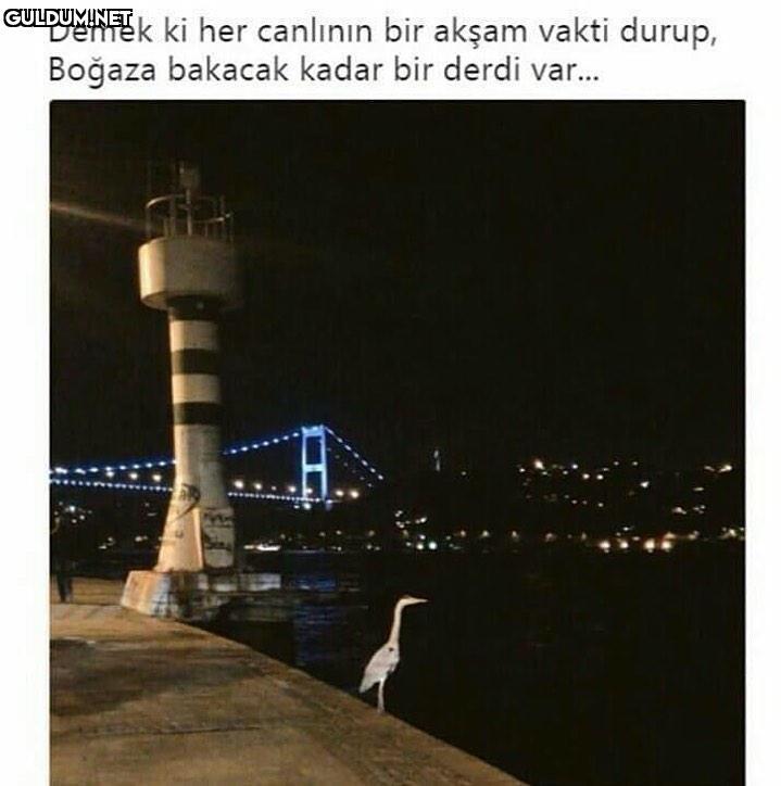 karşı cins haber vermeden...